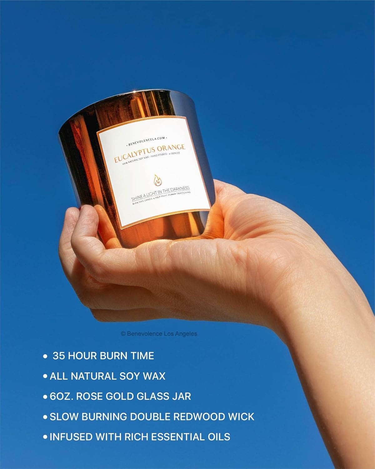 Eucalyptus Orange Wood Wick Candles | Soy Christmas Scented Candles for Home | Holiday Candle Gifts for Women and Men | Home Fragrance | Aromatherapy | Shelf Decor | 8Oz, 45 Hour Burn