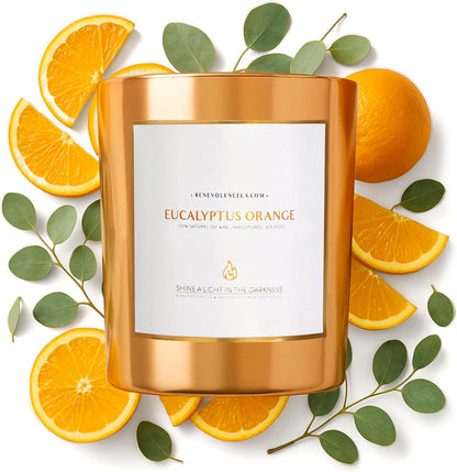 Eucalyptus Orange Wood Wick Candles | Soy Christmas Scented Candles for Home | Holiday Candle Gifts for Women and Men | Home Fragrance | Aromatherapy | Shelf Decor | 8Oz, 45 Hour Burn
